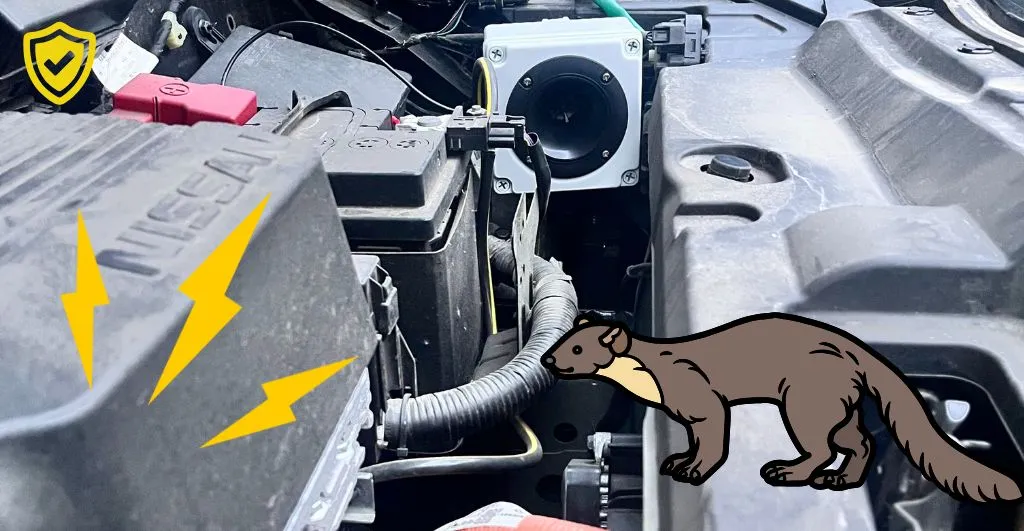 Czy kuny lubią samochody elektryczne?
